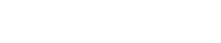 Capability Statement